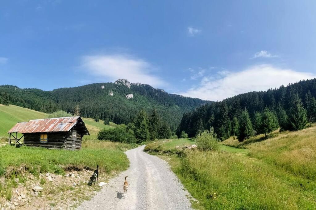 Drevenica Harmony Villa รูชอมแบรอค ภายนอก รูปภาพ